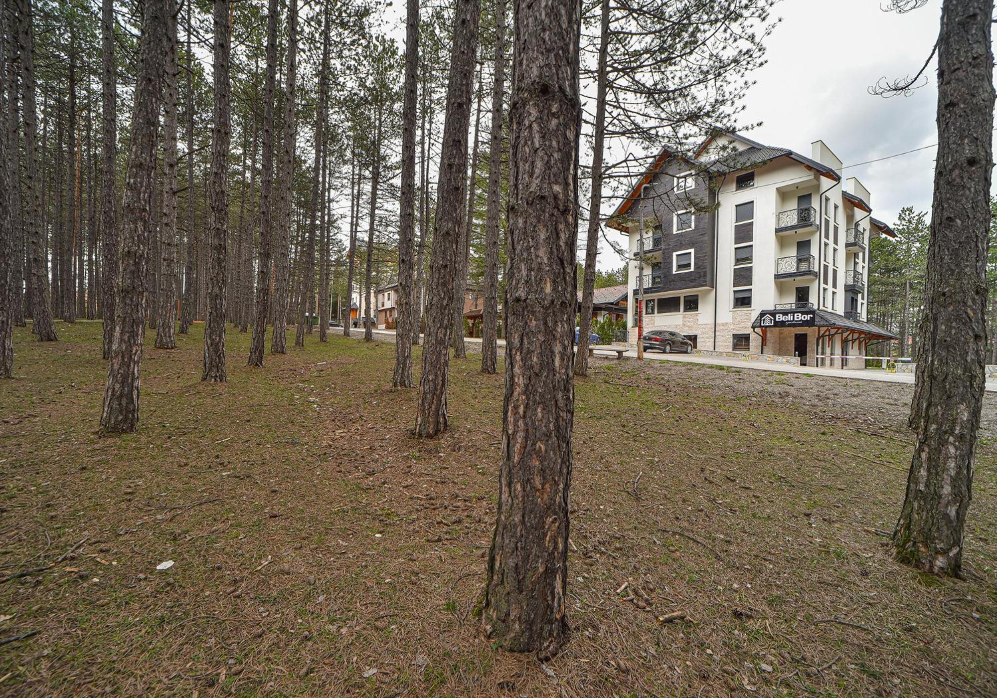 Beli Bor Zlatibor Aparthotel Екстериор снимка
